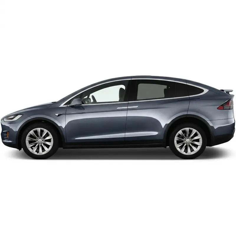Model X P100D