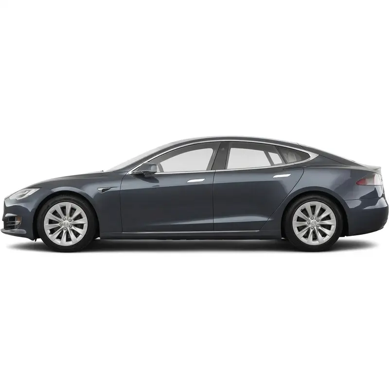 Model S P100D