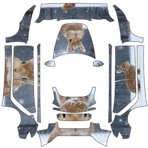 2024 煥新 Model 3 - 123 的車體外觀設計