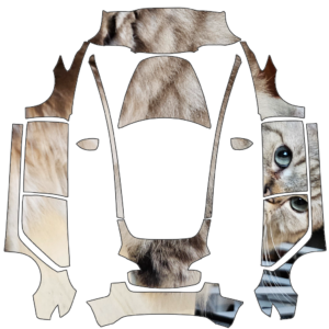 2021 Model 3 - 匿名 的車體外觀設計