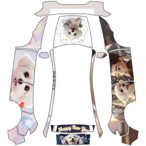 2025 煥新 Model Y LR/RWD - Ponyo 的車體外觀設計