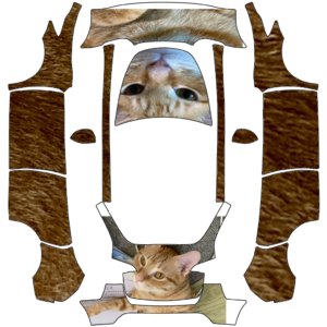 2023 Model Y - 匿名 的車體外觀設計