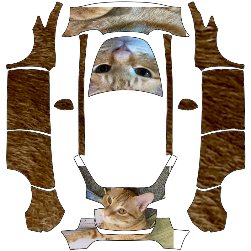 2023 Model Y – 匿名 的車體外觀設計