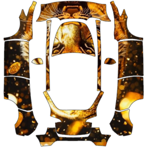 2023 Model Y - 金Gary 的車體外觀設計