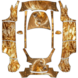 2023 Model Y - 匿名 的車體外觀設計