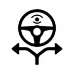 FSD 買斷訂閱決策
