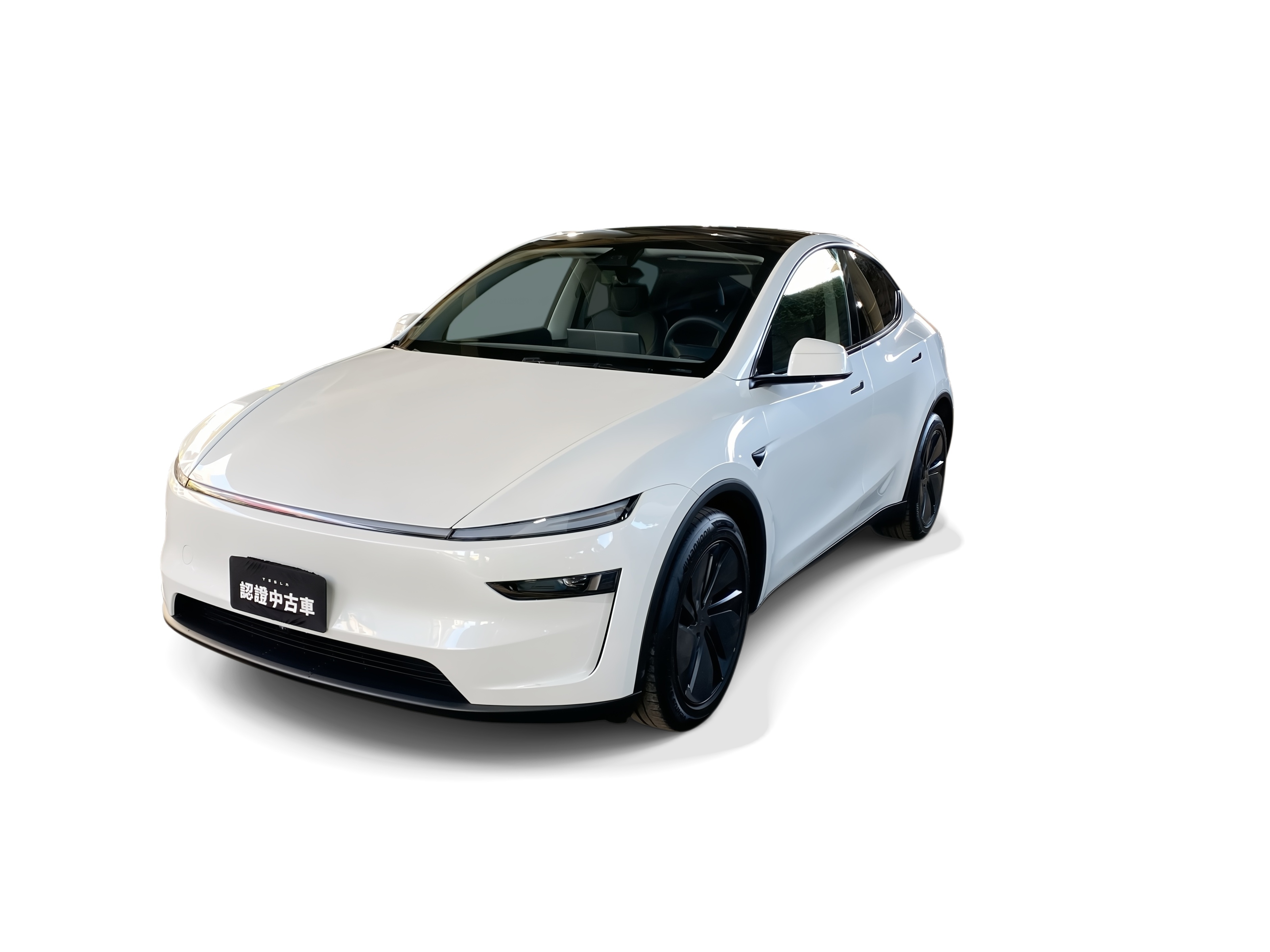 2025 Model Y Long Range 全輪驅動